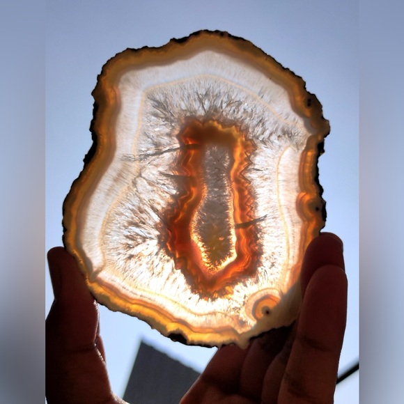 Polished Agate Slice Yellow Color In Sunlight From Maharashtra India
